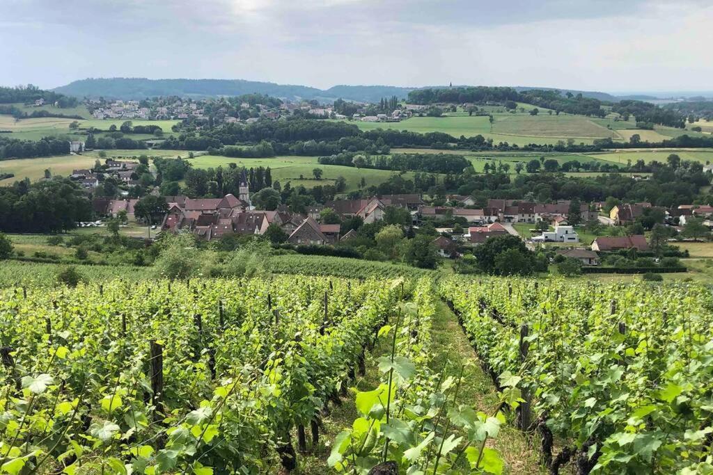Maison Au Coeur Du Vignoble Jurassien 90 M2 Lavigny Exterior foto
